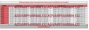 Pharmacological cycle to increase lean muscle mass and definition (8-10 weeks)
