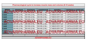 Pharmacological cycle to increase muscle mass and volumes (8-10 weeks)